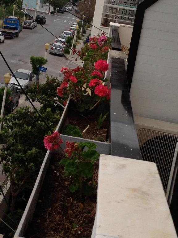 Rhodes City Zefyros Hotel מראה חיצוני תמונה